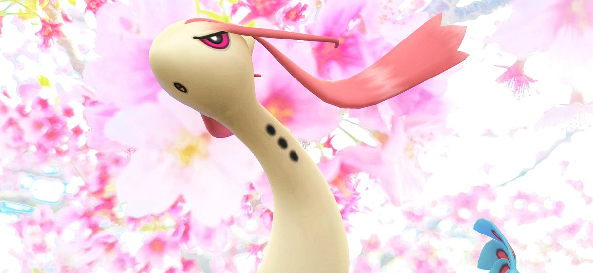 caerleon0327's tweet image. 今週は桜花賞です😊
的中祈願で桜とポケモンを撮影しました📸
#ポケモンGO
#GOsnapshotCelebration
#GOsnapshot
#ARofTheDay