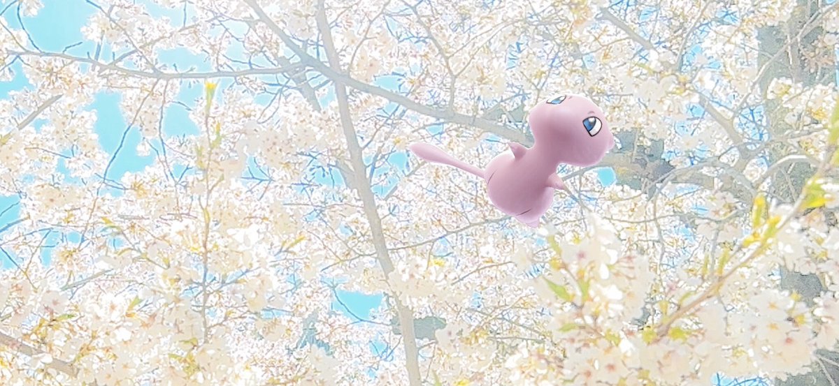 caerleon0327's tweet image. 今週は桜花賞です😊
的中祈願で桜とポケモンを撮影しました📸
#ポケモンGO
#GOsnapshotCelebration
#GOsnapshot
#ARofTheDay