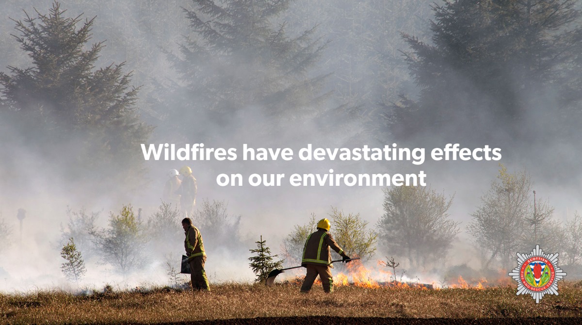 Please be aware of potential fire dangers if you're outdoors.

· Never throw a lit cigarette away in a rural environment
· Dispose of glass or bottles in a bin and not out in the open

For more guidance visit ➡️ow.ly/jKYH50QJuVP