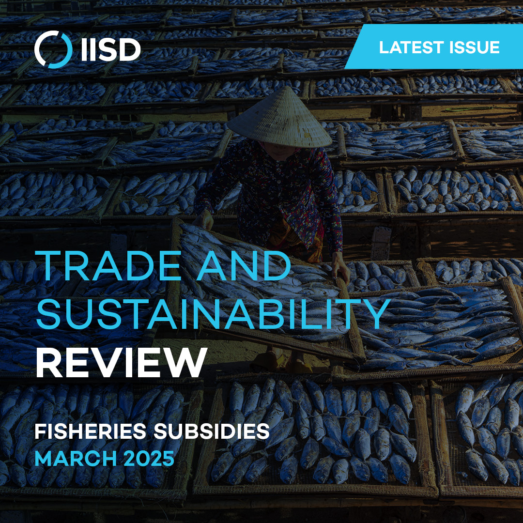 📢 Our latest issue of the #Trade &amp; #Sustainability Review is out now, featuring expert insights on fisheries subsidies including <a href="/wto/">WTO</a> developments and the need to curb subsidies that fuel overfishing and harm coastal communities. 🌊 🏝️ 

Read it here ➡️ iisd.org/articles/iisd-…