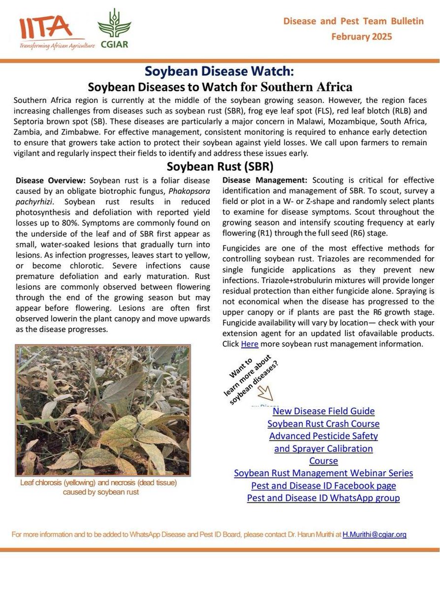 HarunMuthuri's tweet photo. Growing #soybean in Southern Africa this season?  Watch out for these yield limiting diseases.

#soybeanrust #yieldloss https://t.co/x92qJdCwaz