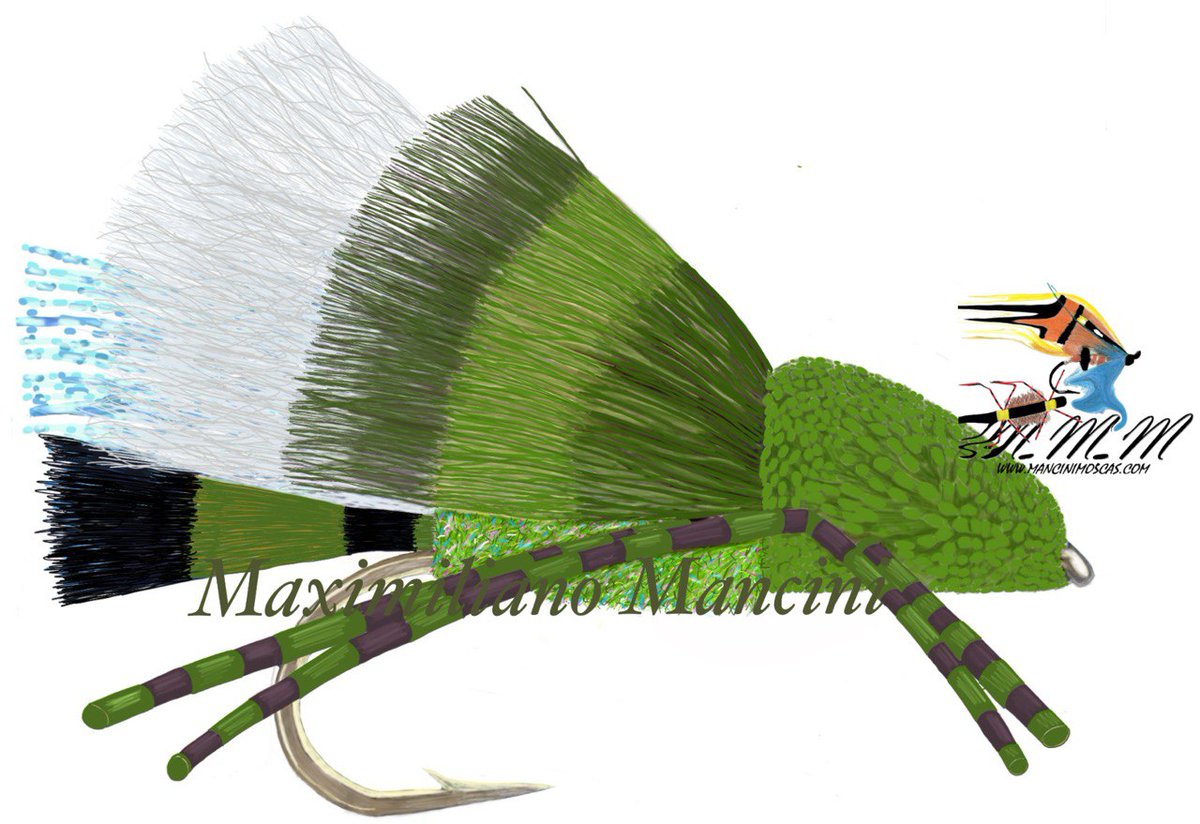 ManciniMaxi's tweet image. 