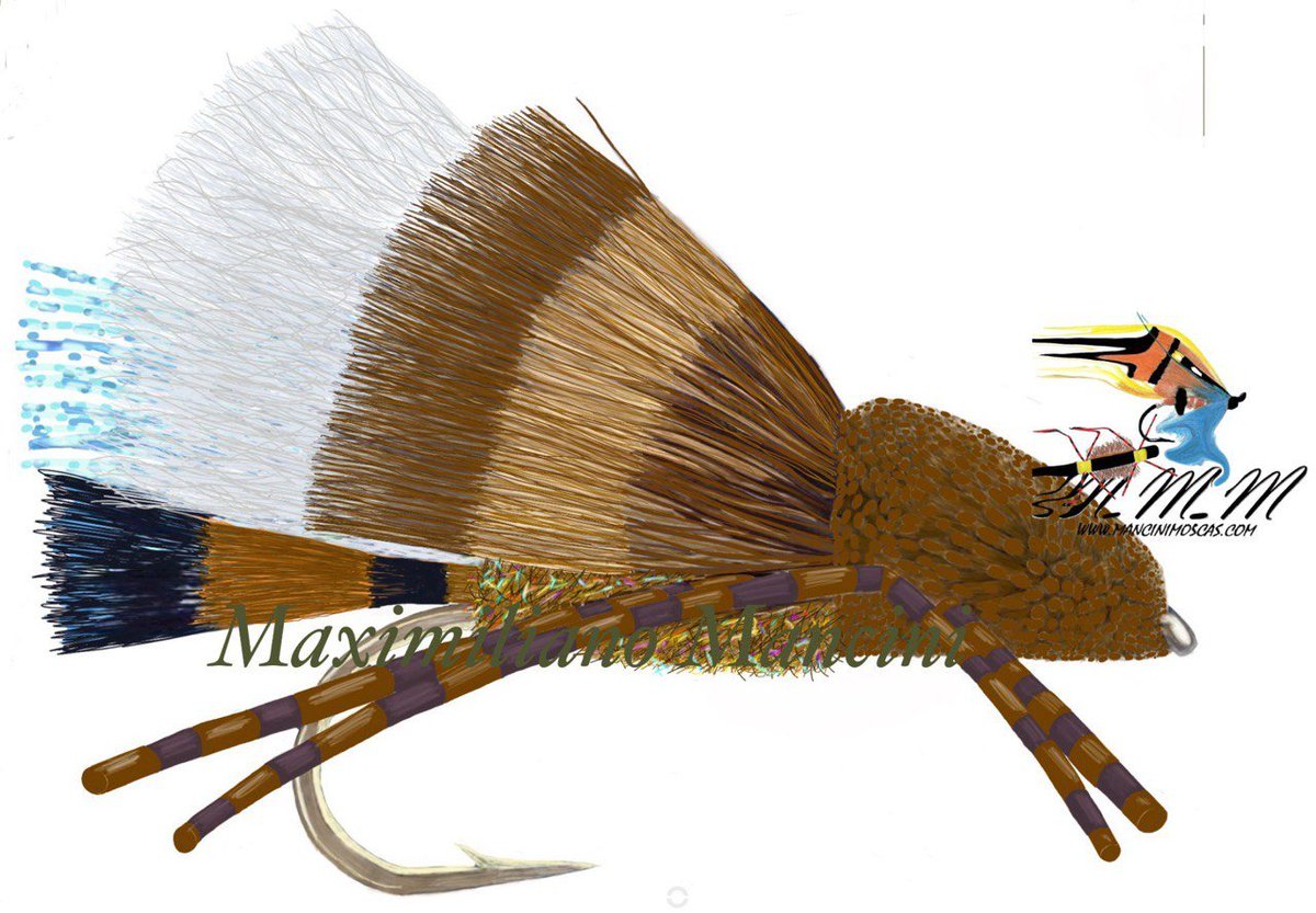 ManciniMaxi's tweet image. 