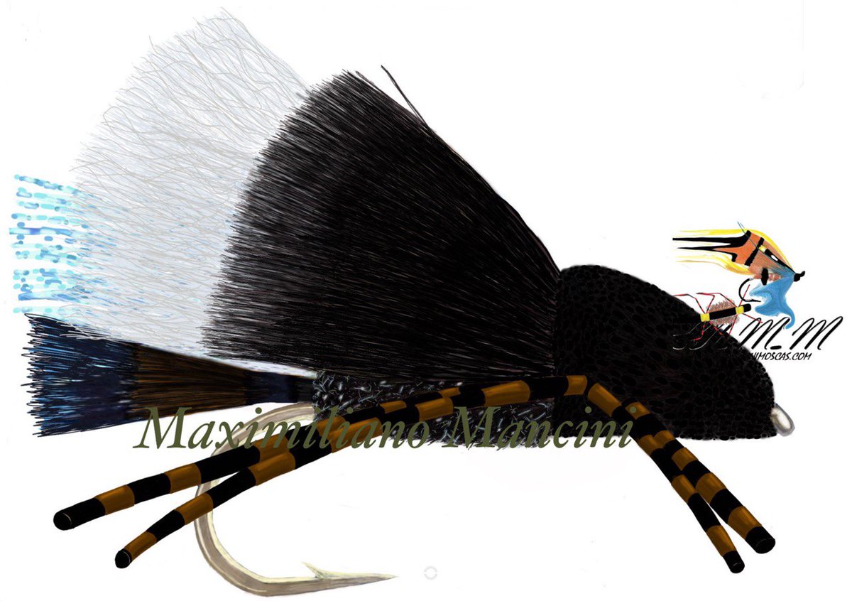 ManciniMaxi's tweet image. 