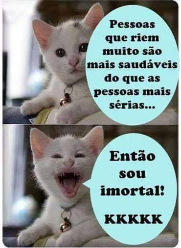 Valmir Gonçalves de  tweet media