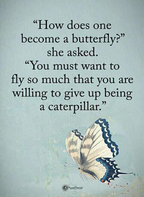 SierraJoseph15's tweet image. Still reflecting on @R4TCWSE #SpringConference!!
@NPoenitzsch message was about “Cultivating Butterflies” and it spoke directly to me! This is my #ButterflySeason #MyButterflyYear
“How does one become a butterfly?”
#BoldandBrilliant #R4TCWSE
