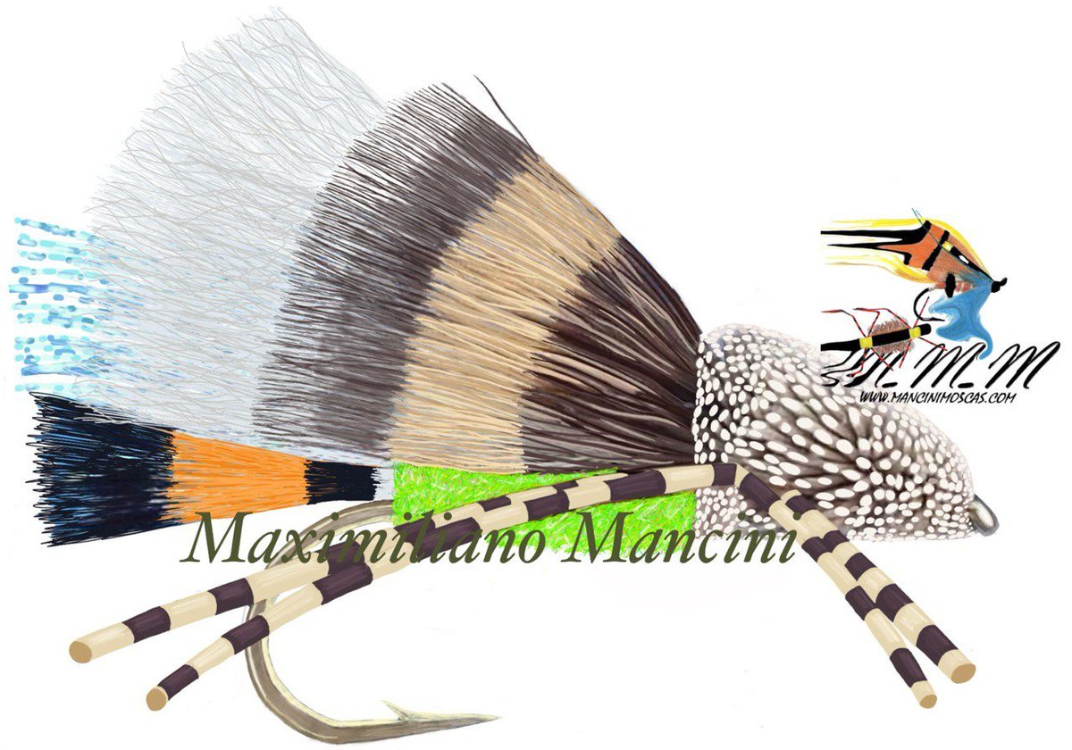 ManciniMaxi's tweet image. 