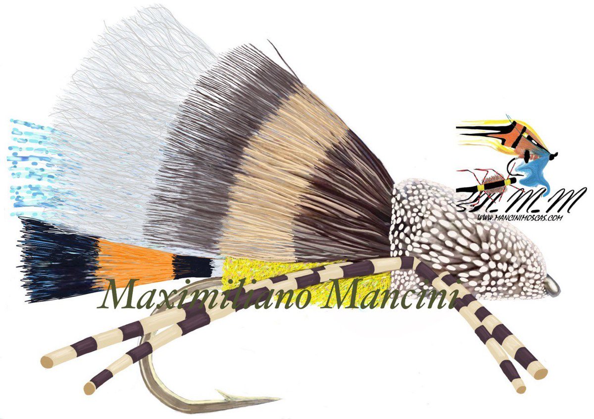 ManciniMaxi's tweet image. 