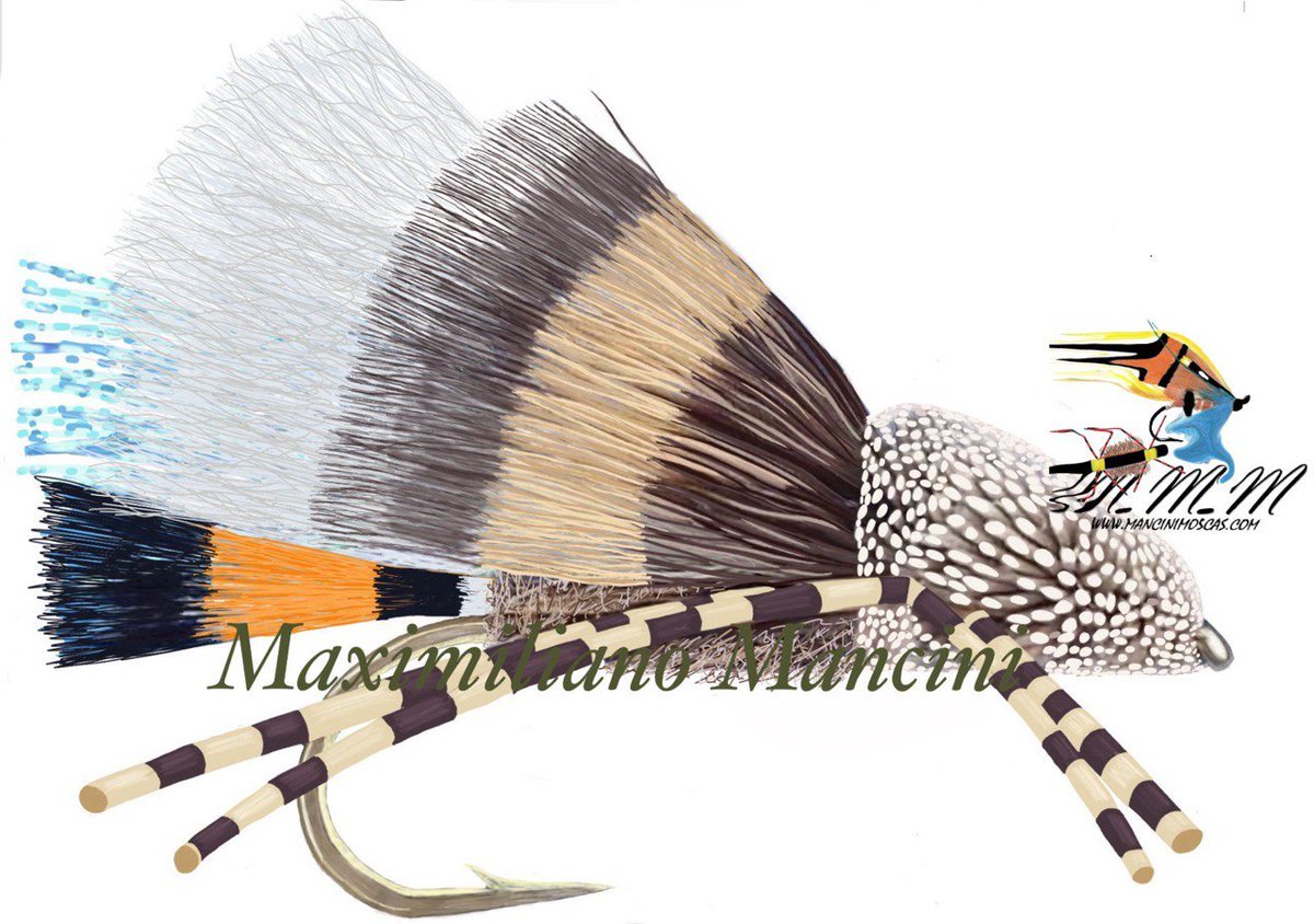 ManciniMaxi's tweet image. 