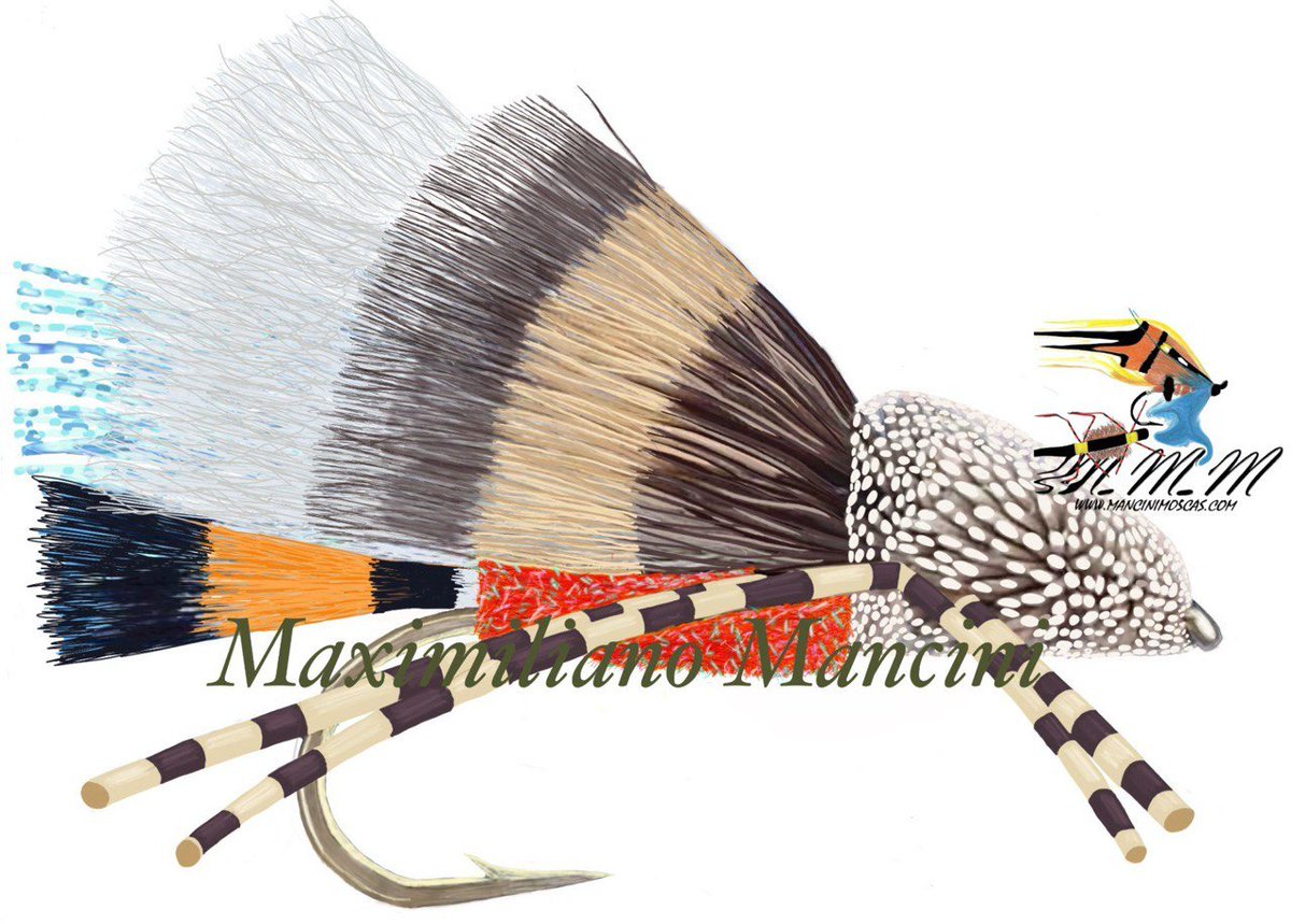 ManciniMaxi's tweet image. 