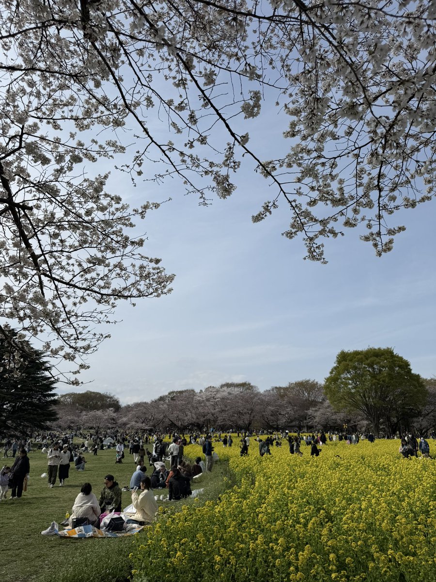 d_date's tweet image. See you soon #tryswift