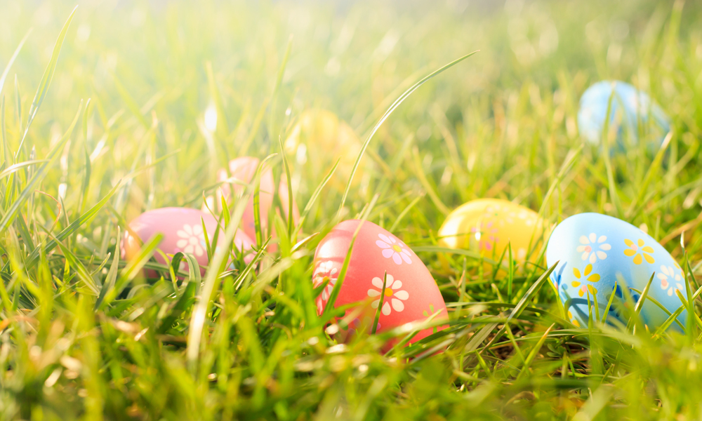 Introducing the Bakewell Bunny Trail 🐣 

The Old Original Bakewell Pudding Shop is hosting an epic Easter-themed fun-filled scavenger hunt, leading families around Bakewell in search of the Easter Bunny. 

Find out more here 👇 
 bit.ly/4lsed6X