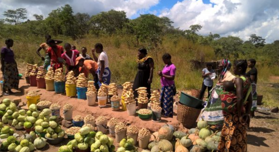 CARE Österreich (@careaustria) on Twitter photo Wie beeinflussen saisonale und soziale Faktoren die Ernährung in Ländern des südlichen Afrika? <a href="/fosta_health/">FoSTA Health project</a> befasst sich unterstützt von <a href="/HorizonEU/">Horizon Europe 🇪🇺</a> und <a href="/UKRI_News/">UK Research and Innovation</a> mit der Verbesserung von #Gesundheit und Nachhaltigkeit: care.at/suedliches-afr… <a href="/WUR/">Wageningen U&R</a>
<a href="/FANRPAN/">Food, Agric. & Nat. Res. Policy Analysis Network</a> #WorldHealthDay Wie beeinflussen saisonale und soziale Faktoren die Ernährung in Ländern des südlichen Afrika? <a href="/fosta_health/">FoSTA Health project</a> befasst sich unterstützt von <a href="/HorizonEU/">Horizon Europe 🇪🇺</a> und <a href="/UKRI_News/">UK Research and Innovation</a> mit der Verbesserung von #Gesundheit und Nachhaltigkeit: care.at/suedliches-afr… <a href="/WUR/">Wageningen U&R</a>
<a href="/FANRPAN/">Food, Agric. & Nat. Res. Policy Analysis Network</a> #WorldHealthDay