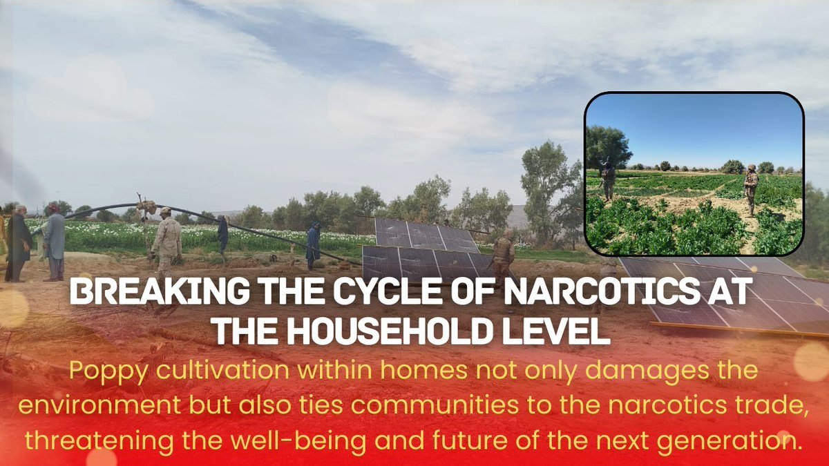 Rooh_a_Ishq's tweet photo. BREAKING THE CYCLE OF NARCOTICS AT THE HOUSEHOLD LEVEL!
Poppy cultivation within homes not only damages the environment but also ties communities to the narcotics trade,
@hani_hanul
#PeaceAndProsperity
#DrugFreeBalochistan
#BuildingASecureFuture
#StabilityAndGrowth
#SayNoToDrugs https://t.co/u1YWlcB3Lq