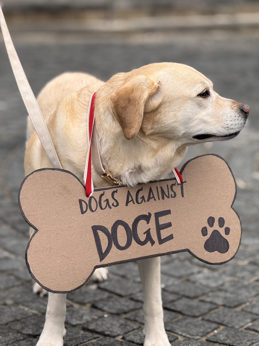 Michelle Berryman tweet media