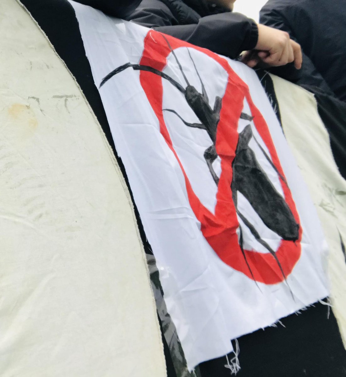 Žoharu odlazi!

<a href="/nkosijek/">NK Osijek</a>