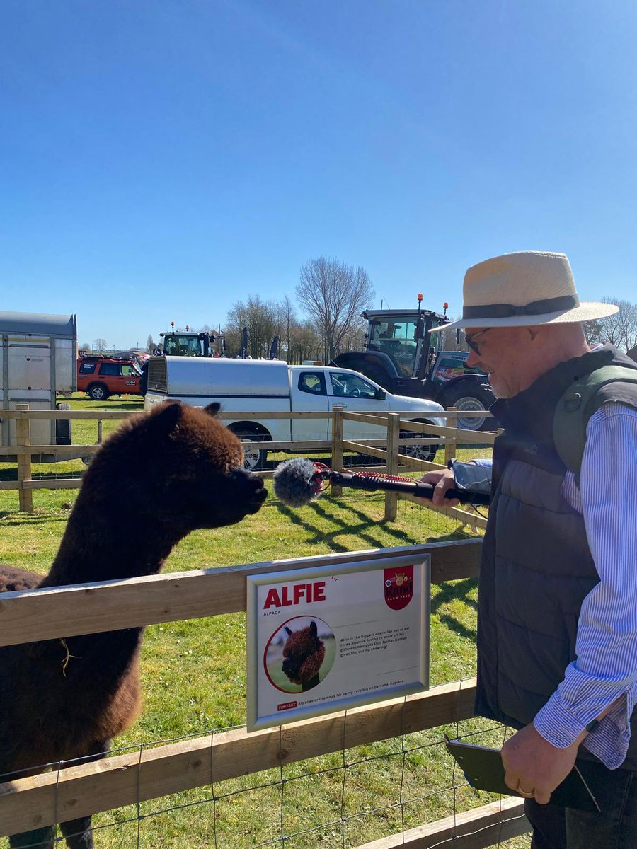 Sean Dunderdale (@seandunderdale) on Twitter photo This week’s FarmWatch - in which <a href="/OrchardSteve/">Steve Orchard</a> interviews an Alpaca - is available on the BBC Sounds App.
Search FarmWatch or click the link here > bbc.co.uk/sounds/play/p0… This week’s FarmWatch - in which <a href="/OrchardSteve/">Steve Orchard</a> interviews an Alpaca - is available on the BBC Sounds App.
Search FarmWatch or click the link here > bbc.co.uk/sounds/play/p0…