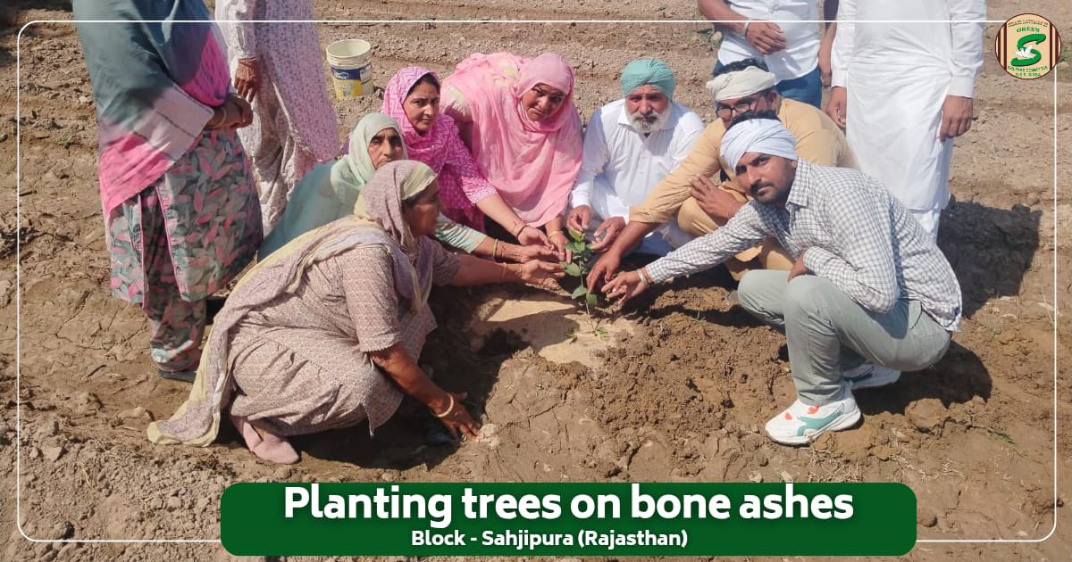 GreenSwelfares's tweet photo. In every ending lies a new beginning — rooted in love and grown with purpose!
A devoted family from Sahjipura, Rajasthan, planted a sapling over the cremains of their loved one, turning grief into greenery. Inspired by the divine teachings of Saint Dr. MSG Insan, they chose to create a living tribute that nurtures both nature and memories.  

#GreenLegacy #MemorialTree