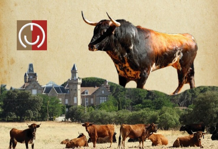 "El Quite" de Calasparra viaja a "Conde de Mayalde"

elmuletazo.com/2025/04/07/el-…