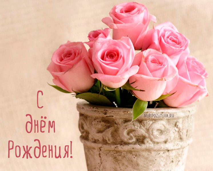 liudmila tweet media