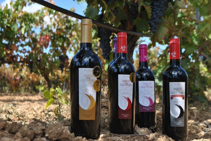 📦🍷 Días de mucho pedido en la tienda online, imaginamos que haciendo acopio de buen vino para vuestros planes de Semana Santa. ¡GRACIAS por elegirnos!

 📲🛒 barcolasculebras.com/tienda-online
🚛📦 ENVÍOS GRATIS a Valladolid capital y en todos los pedidos desde 60€.