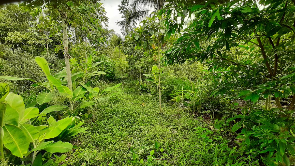 Sproutly tweet media