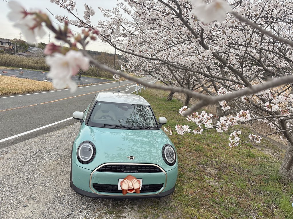Yo_ch0902's tweet photo. MINIとお花見🌸

#車好きな人と繋がりたい 
#車好きと繋がりたい
#MINIクーパー https://t.co/VYKCXlaLqP