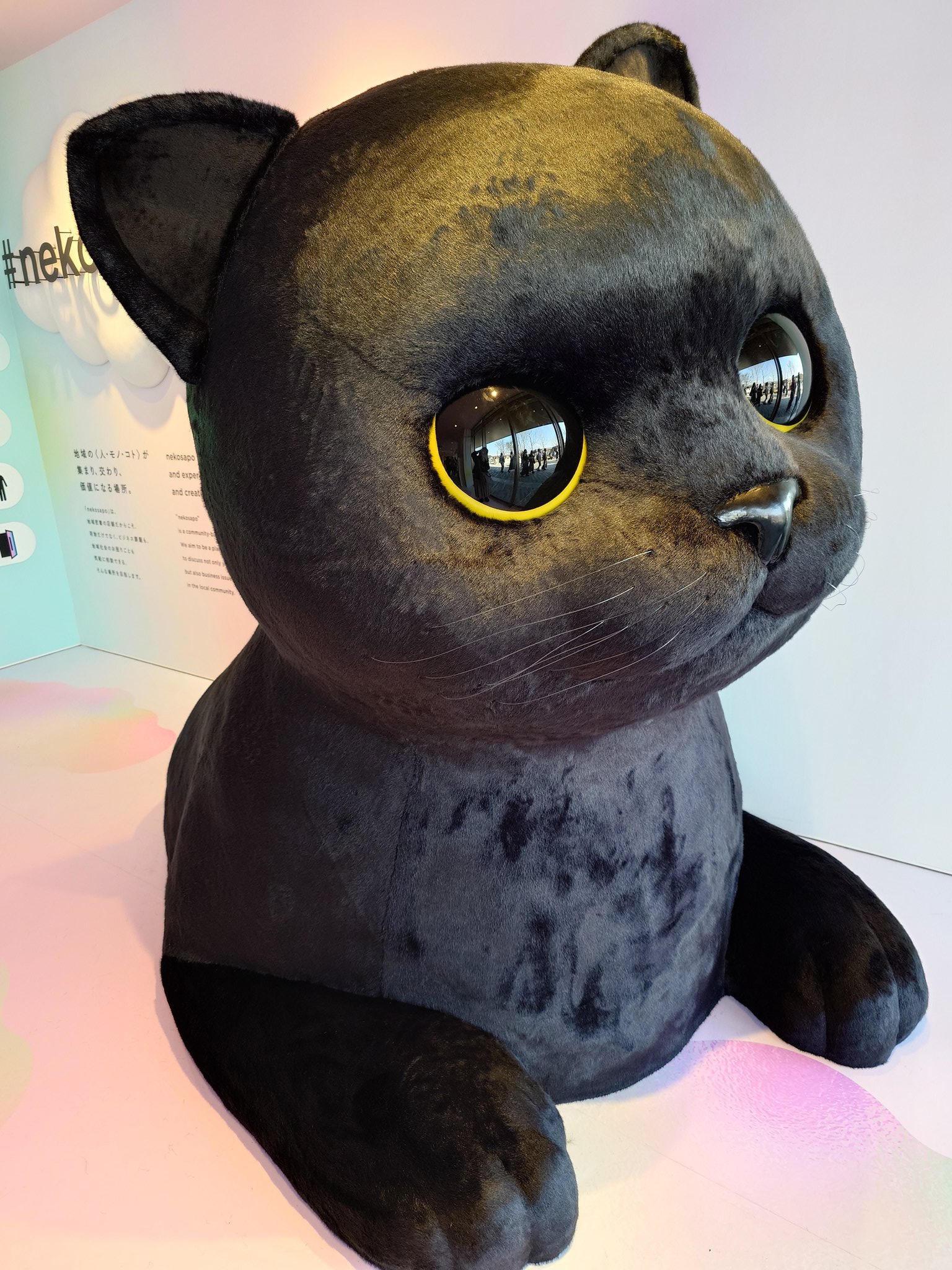 黒猫PCフランス額に額装 高級感 黒猫PCフランス額に額装 絵画 - 絵画