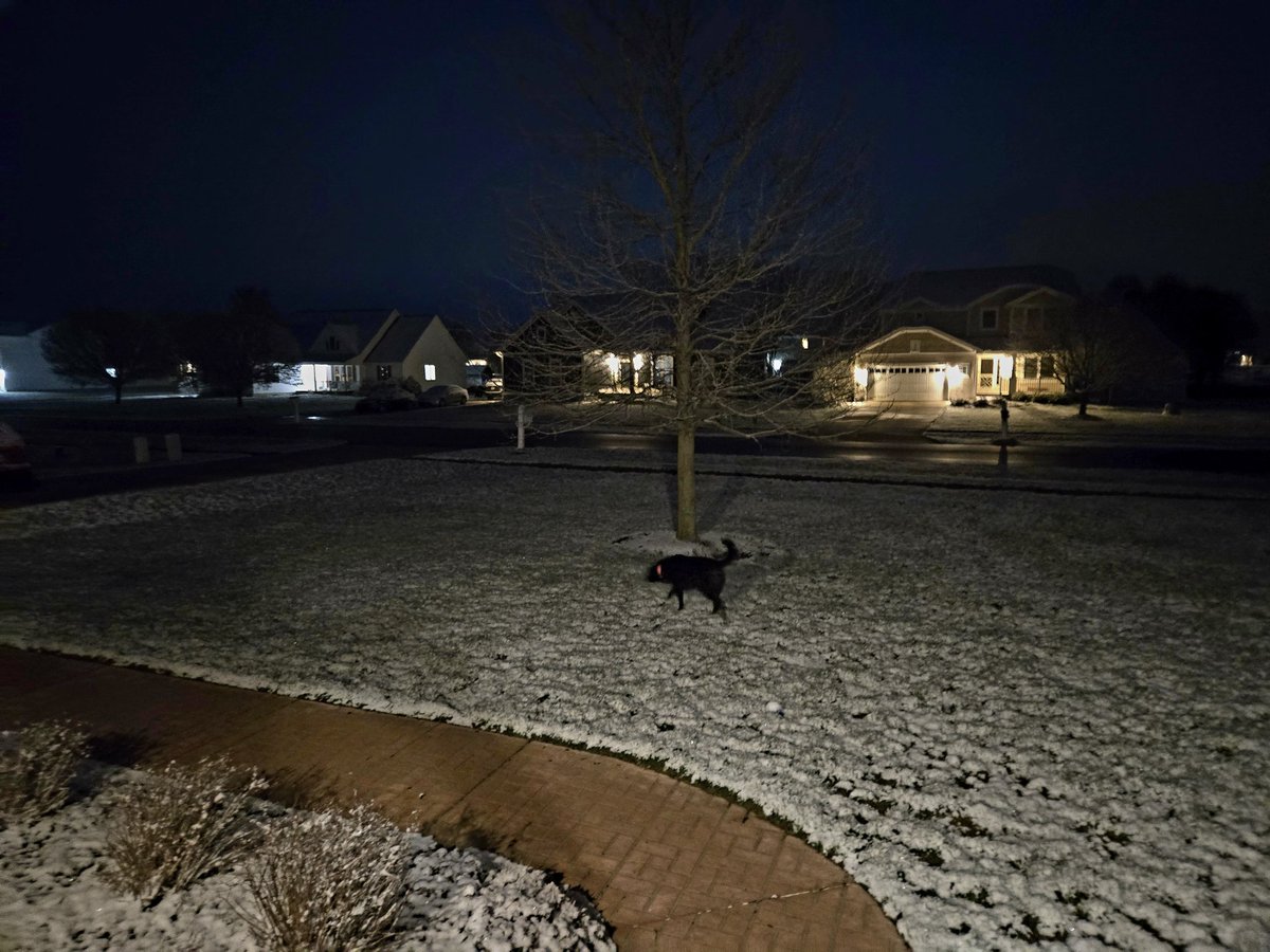 This morning at my house. 🤦‍♂️