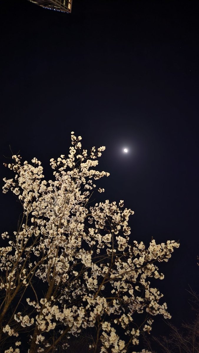 너무 졸려서 도서관에서 강의보면서 졸았어요....ᶻ 𝗓 𐰁