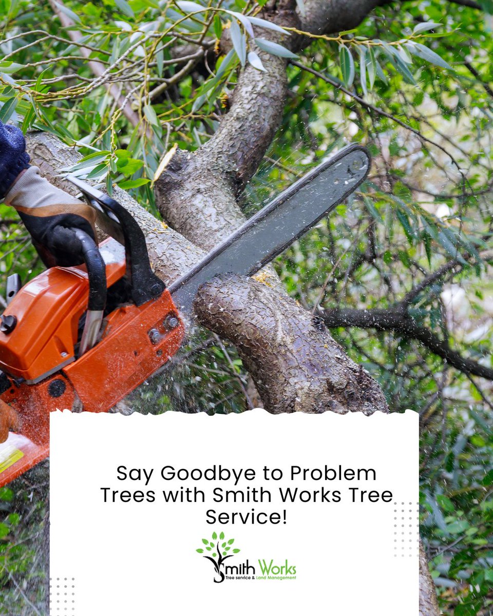 SmithWorksTree's tweet image. Feeling uneasy about that leaning tree? 🌪️ Smith Works Tree Service turns tree troubles into solutions! Safe removal, storm cleanup, and expert care—no mess, no stress. 🌿 Secure your yard today! #TreeRemovalPros #SmithWorksTreeService