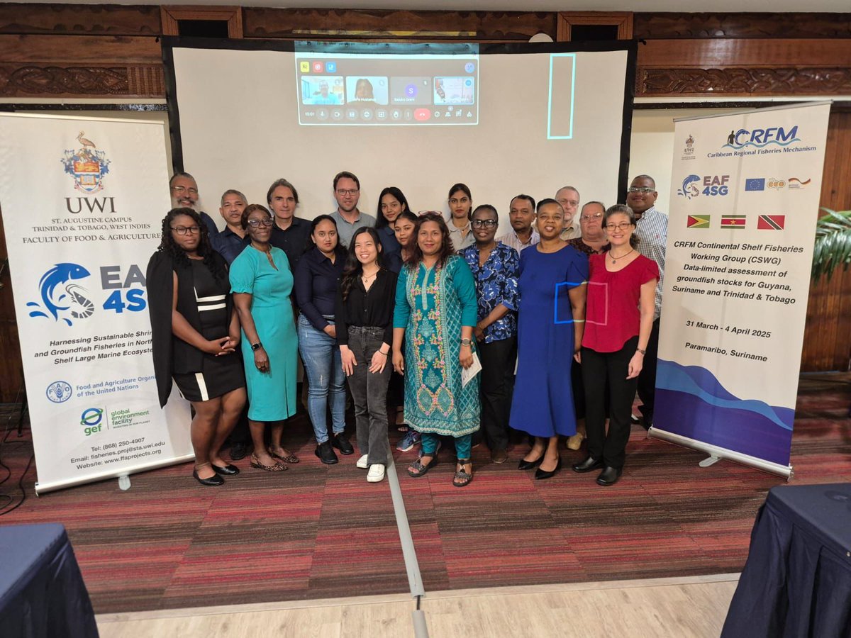 FAOCaribbean's tweet image. Great collaboration by #FISH4ACP  @FAO #EAF4SG, #CRFM, &amp;amp; #UWI  for fish stock assessment focusing on data collection, standardization, &amp;amp; analysis for Suriname, T&amp;amp;T, &amp;amp; Guyana 🐟🎣

@DELGUYGEO @UNGuyana  
 @EU_Partnerships @BMZ_Bund @PressACP