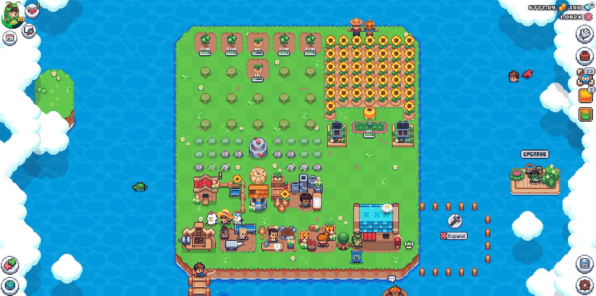 This is my #SunflowerLandFarm