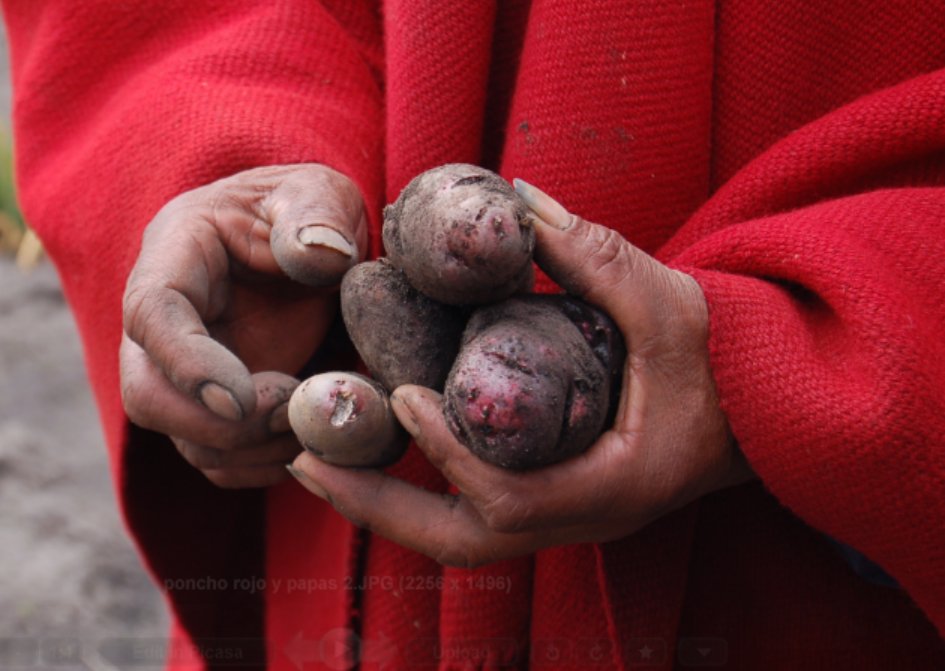 People-nature reciprocity is fully contemplated in the <a href="/IPBES/">ipbes</a> conceptual framework. It just has not received the attention it deserves. Read our new article:

besjournals.onlinelibrary.wiley.com/doi/10.1002/pa…

<a href="/UnaiPascu/">unai pascu</a> <a href="/IPBES/">ipbes</a>