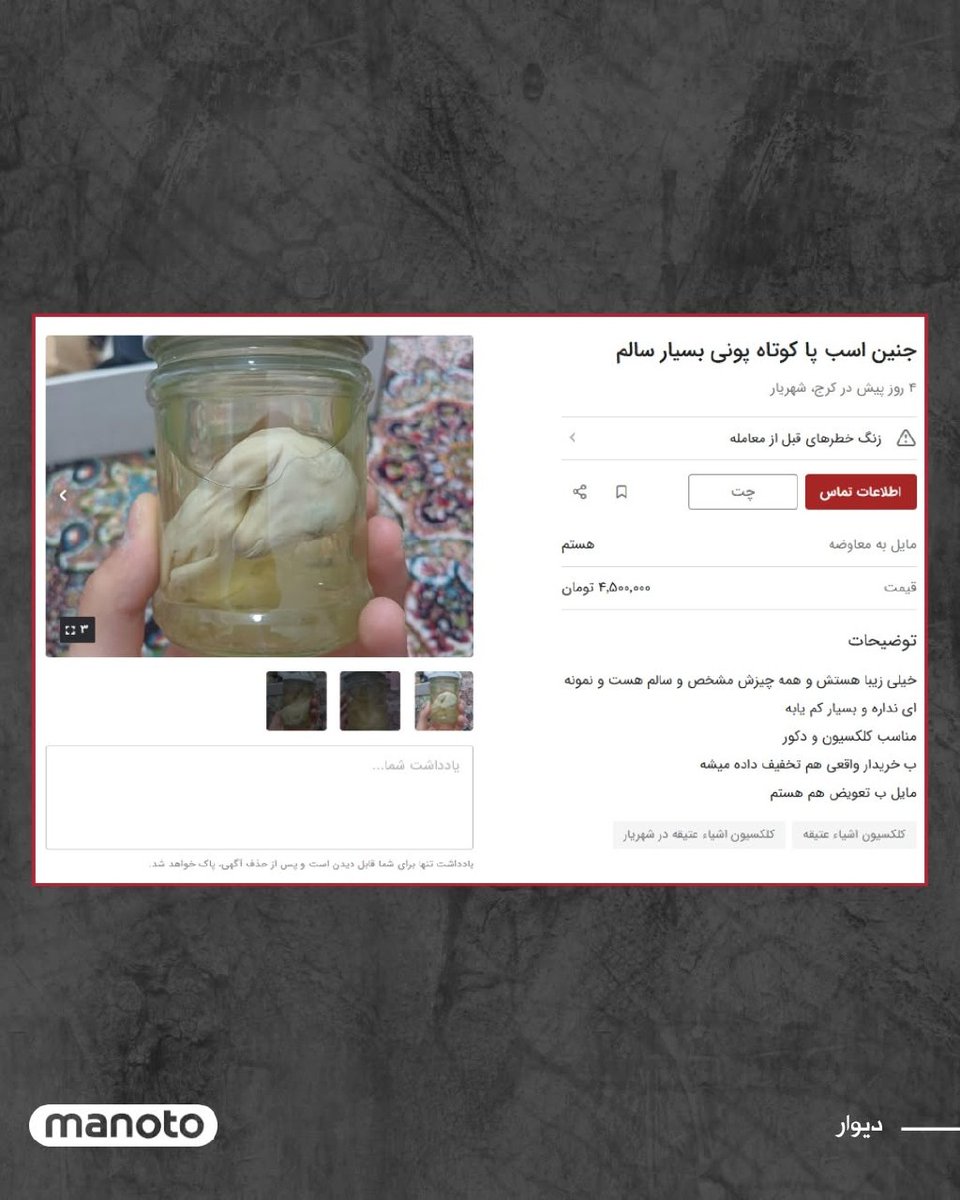 جنین فروشی حیوانات

به گزارش رسانه‌های داخلی، بازار خرید و فروش حیوانات در ایران وارد مرحله‌ای بی‌سابقه شده و این‌بار پای جنین حیوانات به معاملات باز شده است. آگهی فروش جنین اسب پاکوتاه با قیمت ۴.۵ میلیون تومان که بیشتر برای کلکسیون و استفاده‌های دکوراتیو اقدام به خرید می‌کنند.