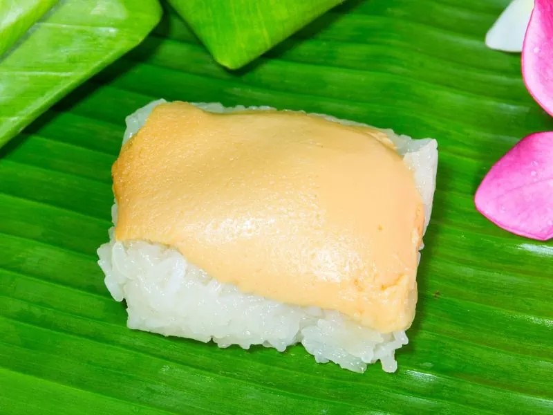 ขอโทษนะลอมเมล แต่เหมือนมากจริงๆ... ข้าวเหนียวสังขยา 😂
#ลอมเมล #สุนัขK9 #สุนัขกู้ภัย