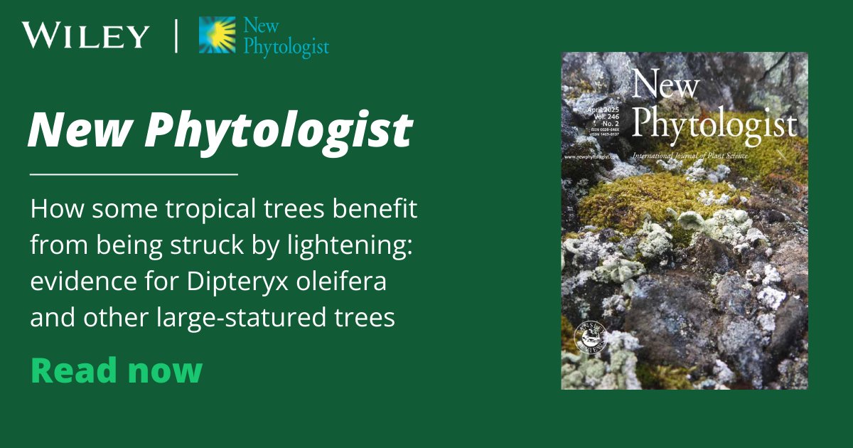 Wiley Ecology & Evolution (@wileyecolevol) on Twitter photo A new study led by Cary's <a href="/GoraEvan/">Evan Gora</a> reveals a tree species that benefits from lightning strikes and may have evolved to act as a natural lightning rod.
Read now!
🔗: ow.ly/YH2Y50VtUUx
<a href="/NewPhyt/">New Phytologist</a> <a href="/smithsonian/">Smithsonian</a> #Ecology #TreeBiology #Research A new study led by Cary's <a href="/GoraEvan/">Evan Gora</a> reveals a tree species that benefits from lightning strikes and may have evolved to act as a natural lightning rod.
Read now!
🔗: ow.ly/YH2Y50VtUUx
<a href="/NewPhyt/">New Phytologist</a> <a href="/smithsonian/">Smithsonian</a> #Ecology #TreeBiology #Research