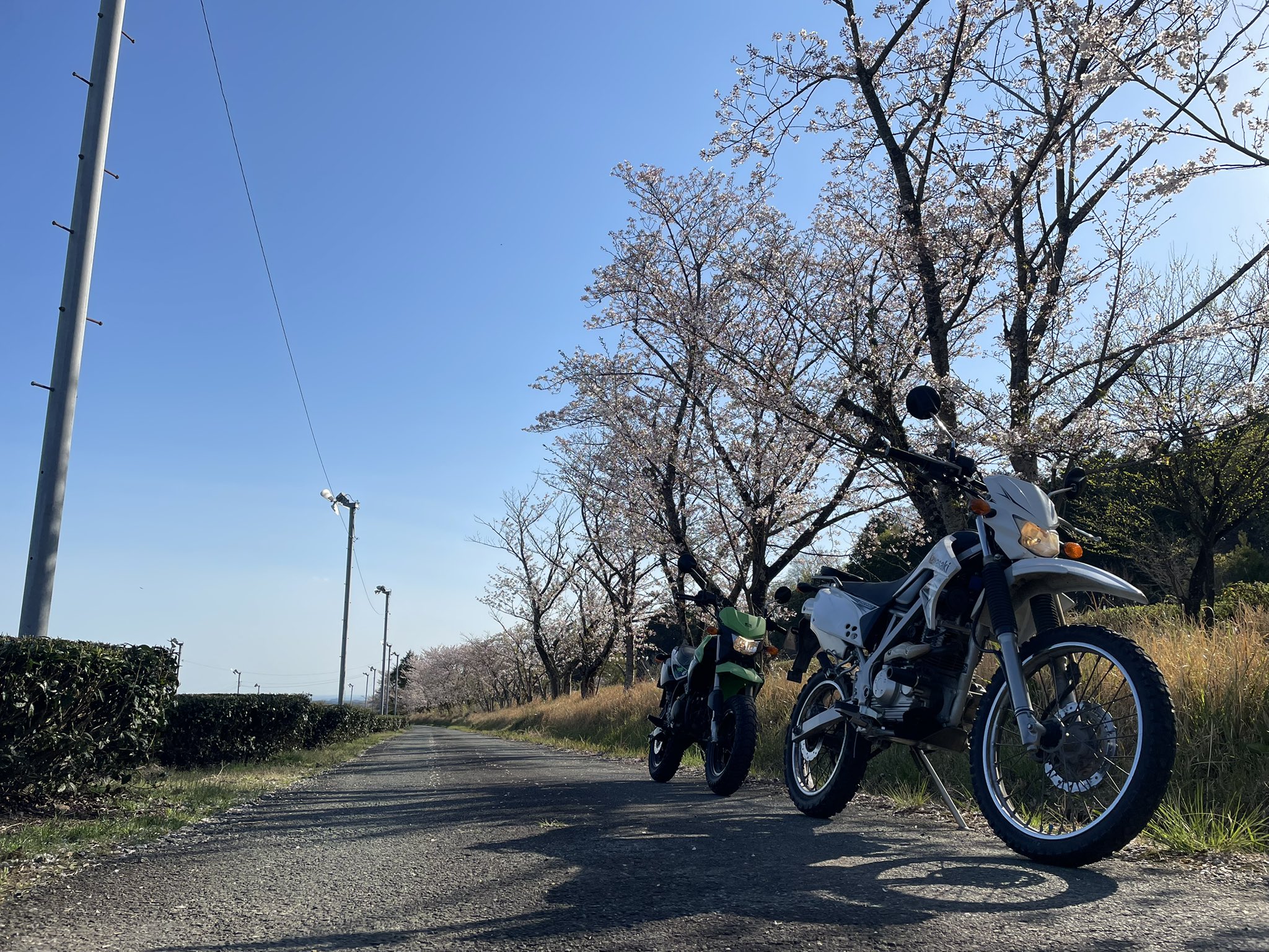 めかぶ(mechanical booster) (@mekabu_soup) / X