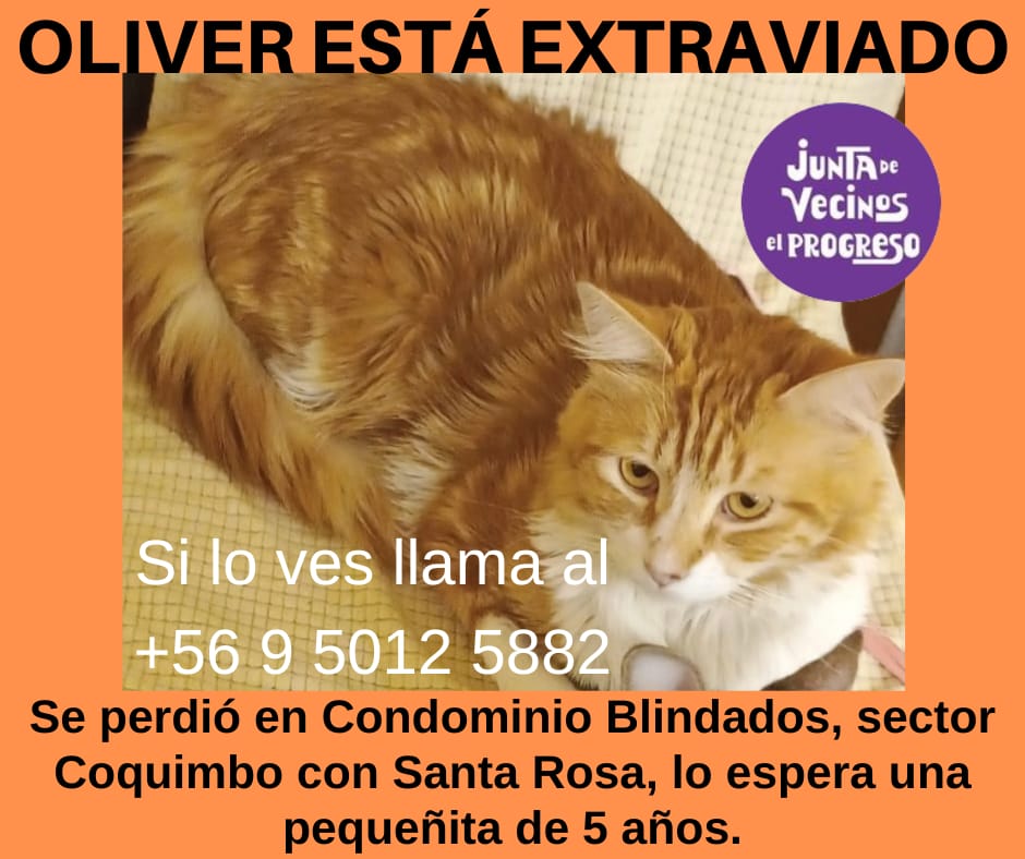 JJVV El Progreso Stgo Centro tweet media