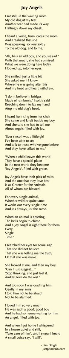 Your beloved is safe and surrounded by love #JoyAngels ❤️#HealingPurrsPawty