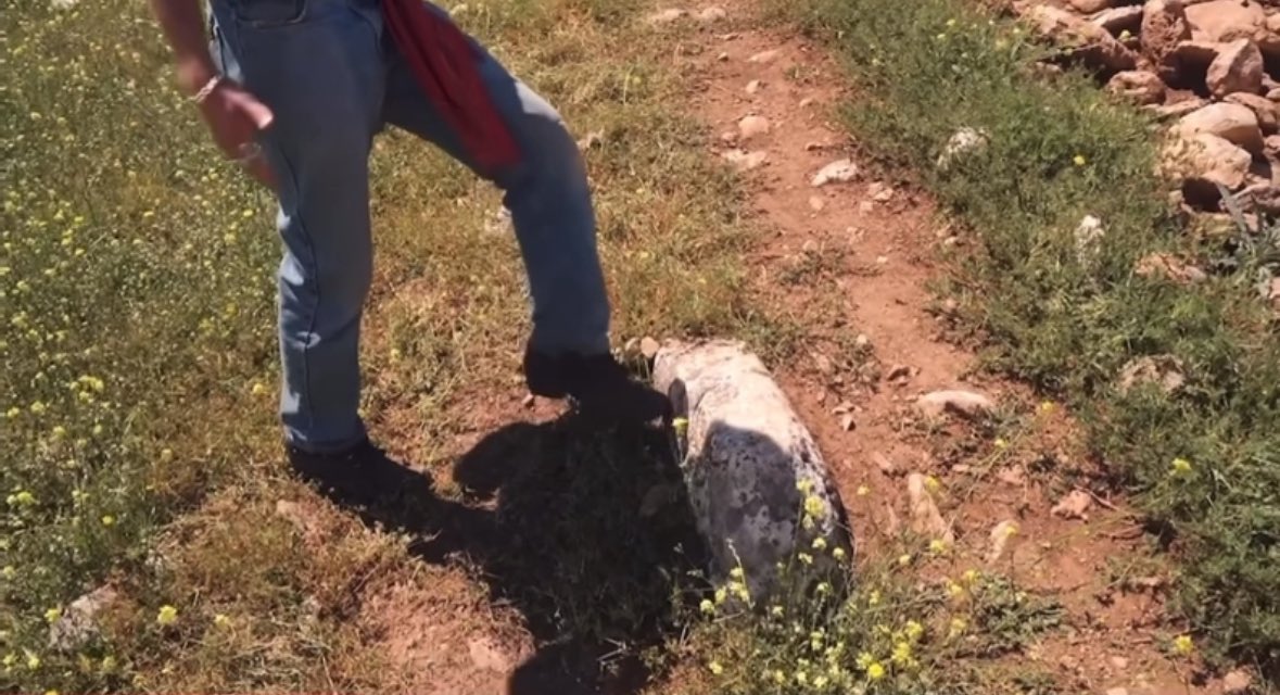 Jimmy Corsetti tweet media