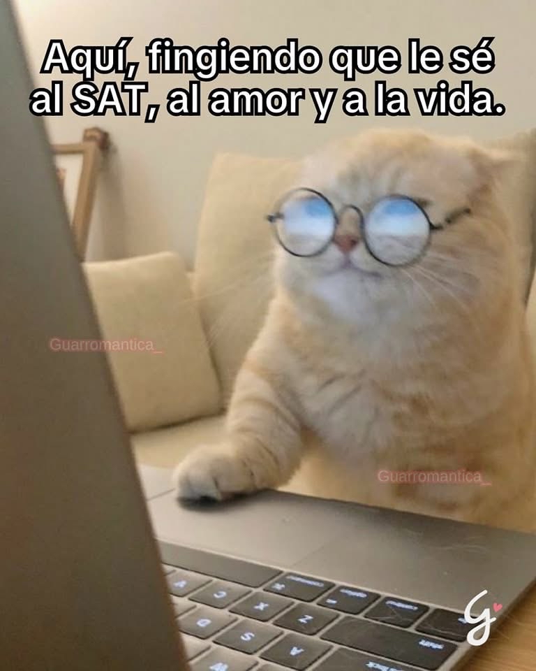 Guarromantico_'s tweet image. Aquí fingiendo.