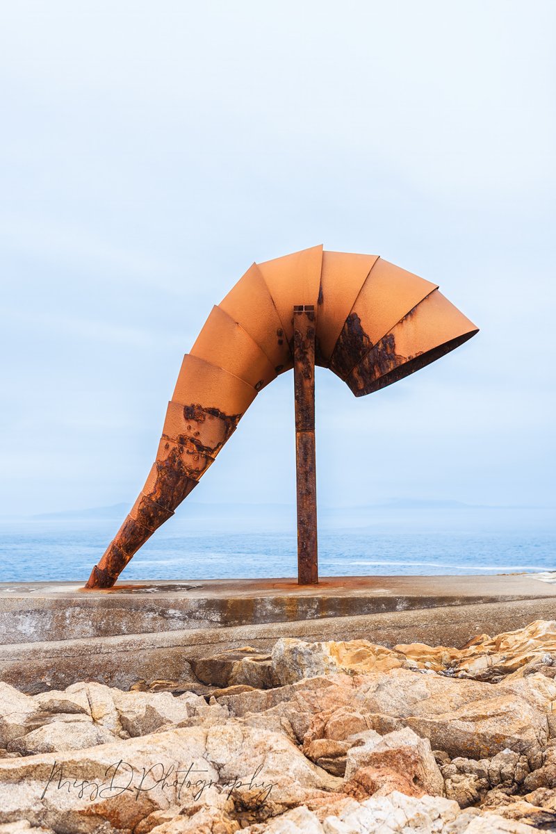 MissDPetography tweet media