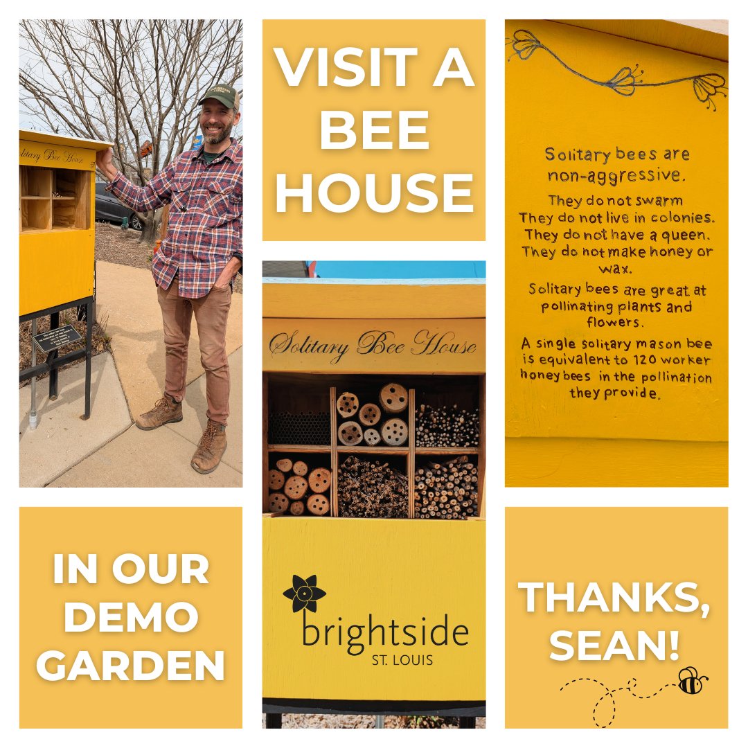 Did you know mason bees are solitary homesteaders and prolific pollinators?
This solitary bee house in our Demonstration Garden was originally handcrafted and wood burned by Jerry W. Bossung in loving memory of Pearl Bossung. It was recently restored by Sean Gunsten. 
#STL #Bees