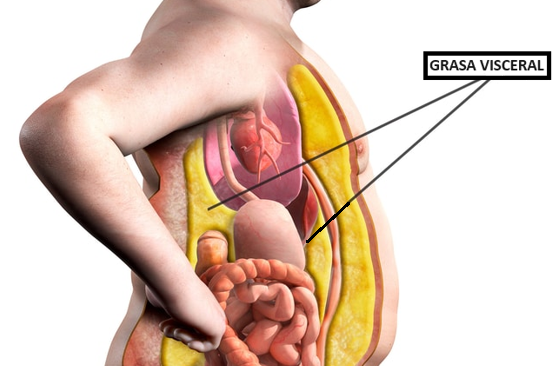 santiagorcoach's tweet photo. Tu grasa abdominal te predispone a sufrir enfermedad cardiovascular, cáncer, y muerte prematura. 

Aquí te dejo todos los tips que tengo para que pierdas tu grasa abdominal (guarda este hilo): 

1. Deja el alcohol. https://t.co/HuhjbVUVvo
