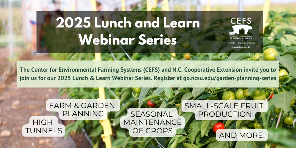 CEFS (@infocefs) on Twitter photo 📢 Join us for the 2025 Lunch & Learn Webinar Series! 🌾🚜 The FREE webinars led by Melissa Bell and John Lyttle will cover various garden topics including regenerative agriculture, seasonal crop maintenance, and so much more! Register: go.ncsu.edu/garden-plannin… <a href="/DurhamExtension/">Durham Extension</a> 📢 Join us for the 2025 Lunch & Learn Webinar Series! 🌾🚜 The FREE webinars led by Melissa Bell and John Lyttle will cover various garden topics including regenerative agriculture, seasonal crop maintenance, and so much more! Register: go.ncsu.edu/garden-plannin… <a href="/DurhamExtension/">Durham Extension</a>
