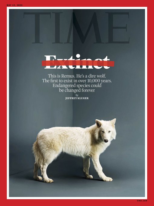 Rainmaker1973's tweet image. Remus the dire wolf on the cover of TIME.

ᴿᵒᵐᵘˡᵘˢ ᵃⁿᵈ ᴿᵉᵐᵘˢ ᵃʳᵉ ᵍᵉⁿᵉᵗᶦᶜᵃˡˡʸ ᵉⁿᵍᶦⁿᵉᵉʳᵉᵈ ᵐᵒᵈᵉʳⁿ ʷᵒˡᵛᵉˢ ʷᶦᵗʰ ᵃʳᵒᵘⁿᵈ ²⁰ ᵍᵉⁿᵉˢ ᵉᵈᶦᵗᵉᵈ ᵗᵒ ˢᵘᶜᶜᵉˢˢᶠᵘˡˡʸ ᵐᶦᵐᶦᶜ ᵈᶦʳᵉ ʷᵒˡᶠ ᵗʳᵃᶦᵗˢ