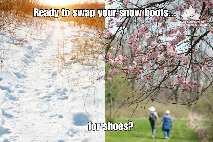 TCTrail's tweet photo. April on the @TCTrail: From winter wonderland to springtime bliss! 🌷❄️ Ready to swap your snow boots for hiking shoes?
#TransCanadaTrail #April #TrailAdventures #Spring #Snow #Sun #OurTrail #WeatherShift #ExploreCanada https://t.co/FYgJldo1td