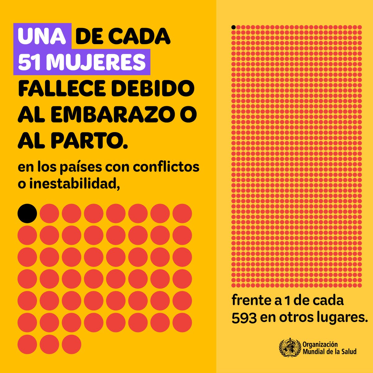❤️‍🩹👩‍🔬 Este año el #DíaInternacionalDeLaSalud se centra en la #SaludDeLaMadre y de el #ReciénNacido.
El #huevo aporta proteínas, fósforo, vitaminas B2, B12, ácido  pantoténico, biotina, vitamina D y colina, e  hierro, zinc, selenio, niacina, y vitaminas A, E y K.