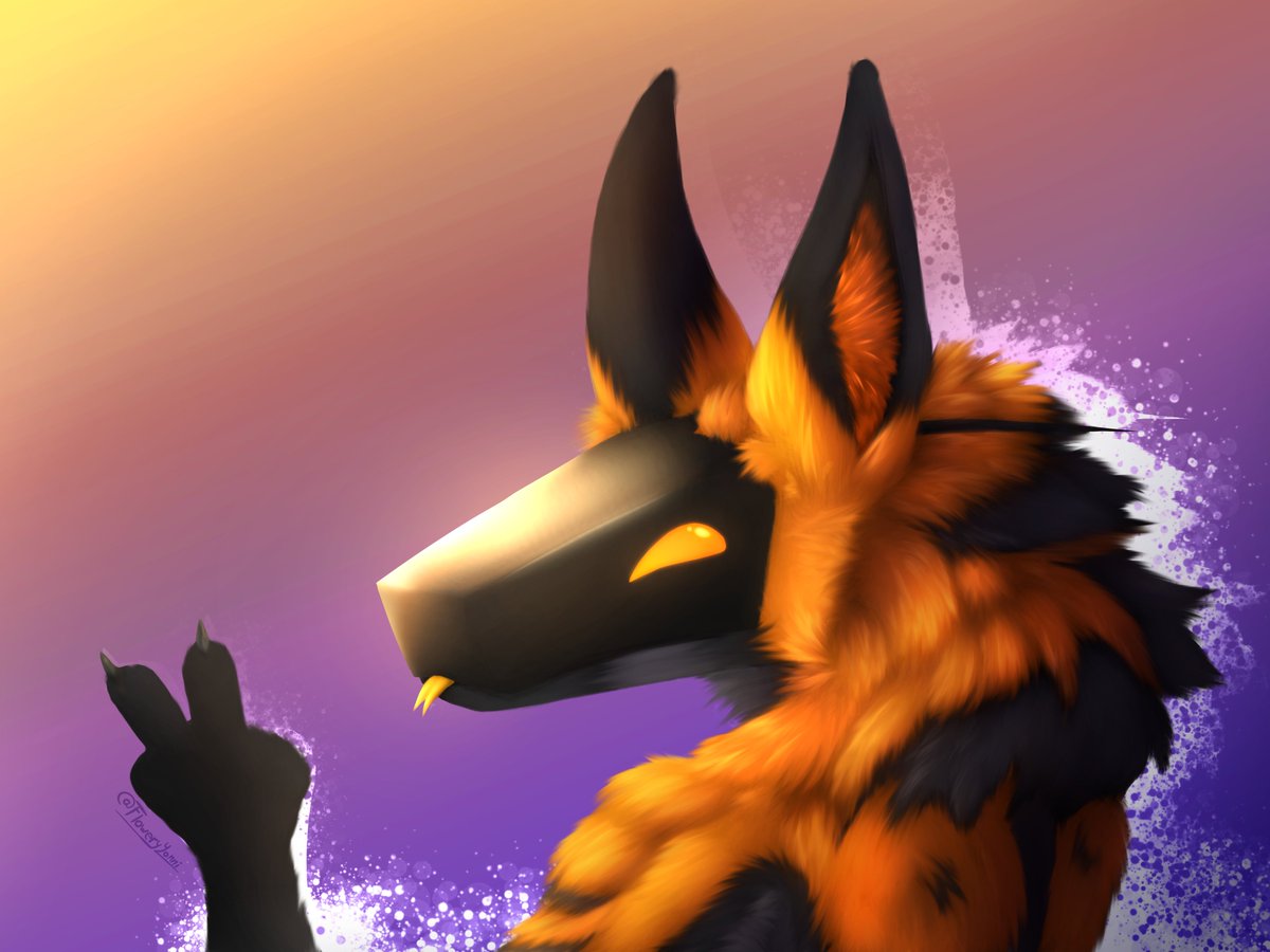 Yonni 🌸 tweet media